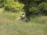 Policjant na quadzie ze strażnikiem leśnym patrolują teren parku krajobrazowego