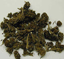 Zabezpieczona marihuana