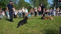 Policjanci z psami podczas pokazu