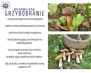 zdjęcie informacyjne