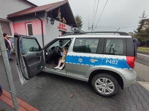 Zdjęcie radiowozu z dziećmi