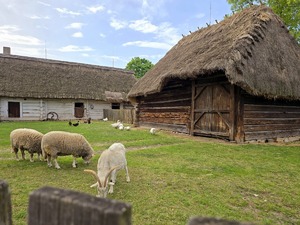 Uczestnicy na wycieczce krajoznawczej