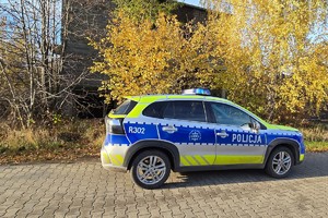 Na zdjęciu widać oznakowany radiowóz